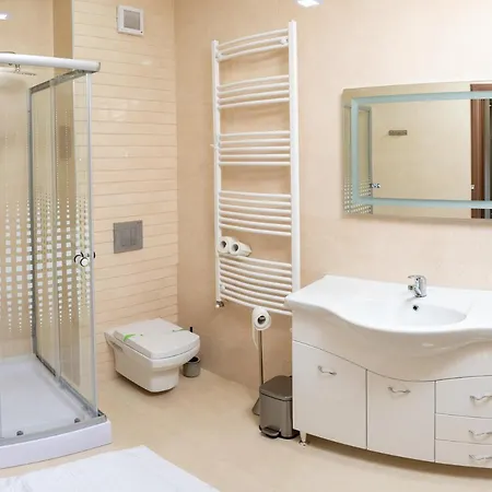 Alex's Penthouse 3 * Brasov
